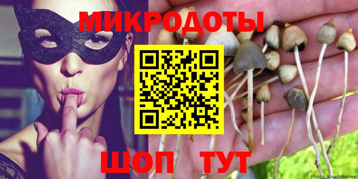 Псилоцибиновые грибы мицелий  сколько стоит  Галлюциногенные грибы Psilocybine cubensis  Кандалакша  Вход с VPN 